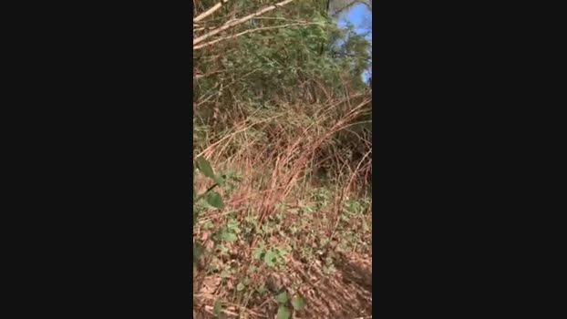 DaveBraun 25-04-2025 Recorded Video bigdick