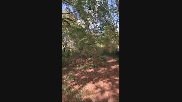 DaveBraun 25-04-2025 Recorded Video jerkoff