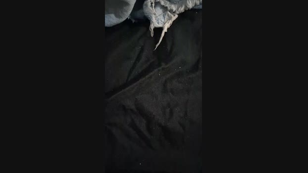 Fetichistahard 25-04-2025 Recorded Video sexy