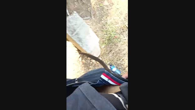 Top_man 25-04-2025 Recorded Video bigcock