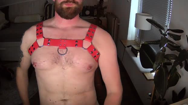 redbearded 24-04-2025 Recorded Video Recorded