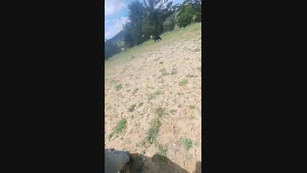 teksak45 25-04-2025 Recorded Video XXX