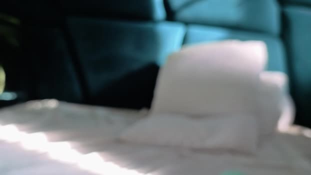 THEO__GREEN 27-04-2025 Recorded Video fuckass
