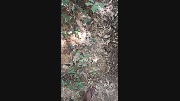 dotsaf92 27-04-2025 Recorded Video legs