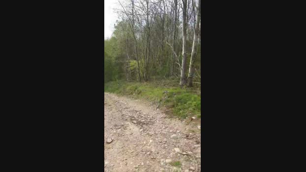 Legtiste 27-04-2025 Recorded Video suck