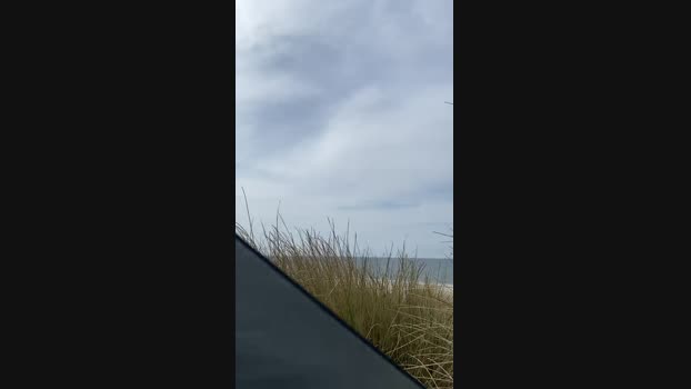 Zeigegeiler69 28-04-2025 Recorded Video squirt