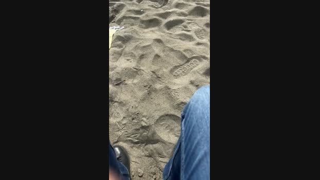 danicloud1 28-04-2025 Recorded Video toy