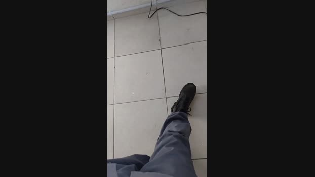 morcego01 27-04-2025 Recorded Video Pretty