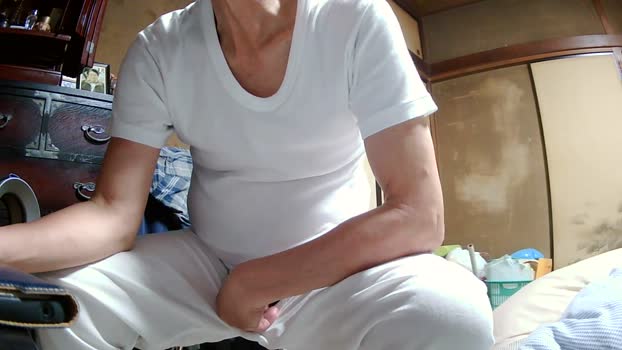 toshi603 28-04-2025 Recorded Video lovense