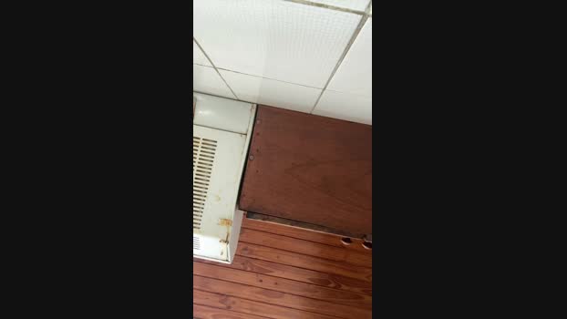 27431axel 28-04-2025 Recorded Video striptease