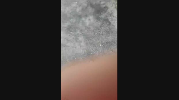 Celocam 29-04-2025 Recorded Video ass