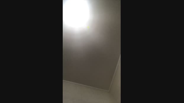 marcelsexfun 29-04-2025 Recorded Video gay