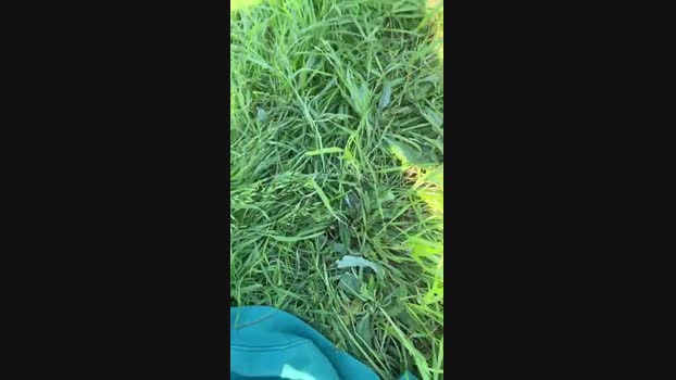 samueleeffe 29-04-2025 Recorded Video hard