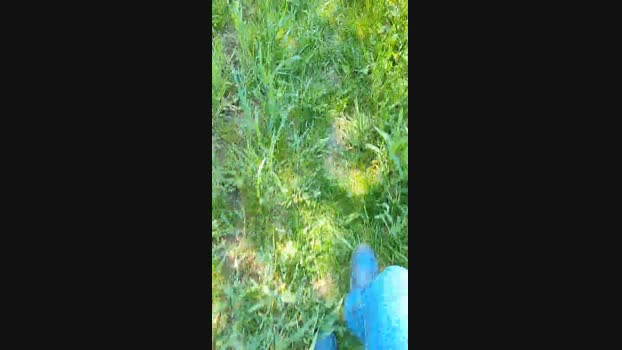 Herandhim5X 30-04-2025 Recorded Video bicurious