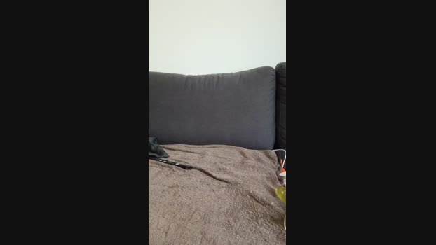 SexySayajin 30-04-2025 Recorded Video ass