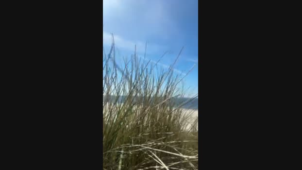 Zeigegeiler69 01-05-2025 Recorded Video Show