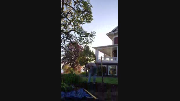 Beardedveteran 02-05-2025 Recorded Video natural