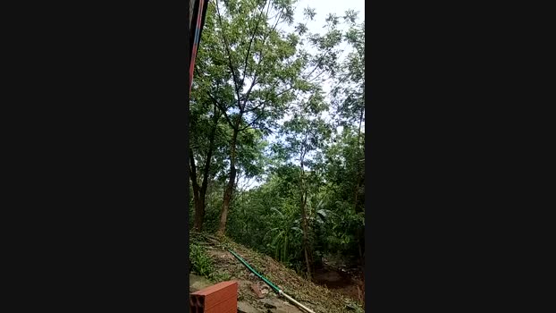 Richard_2 02-05-2025 Recorded Video fuckher