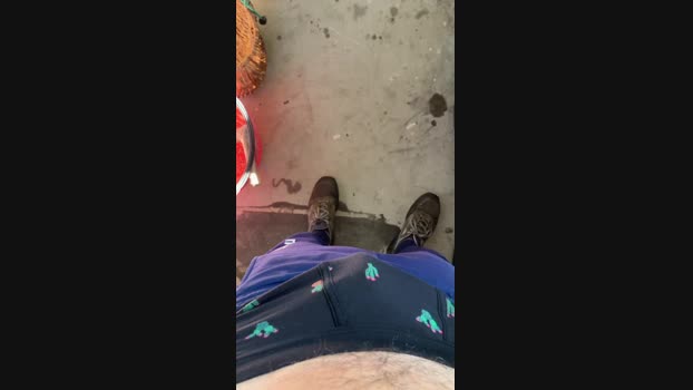 Wildm3 02-05-2025 Recorded Video Cam
