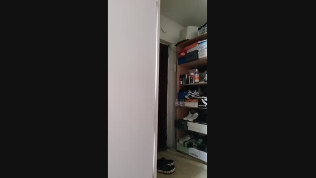 abcd34 02-05-2025 Recorded Video analtoy
