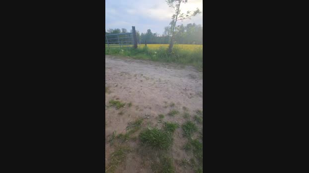 monsterlover 01-05-2025 Recorded Video lick