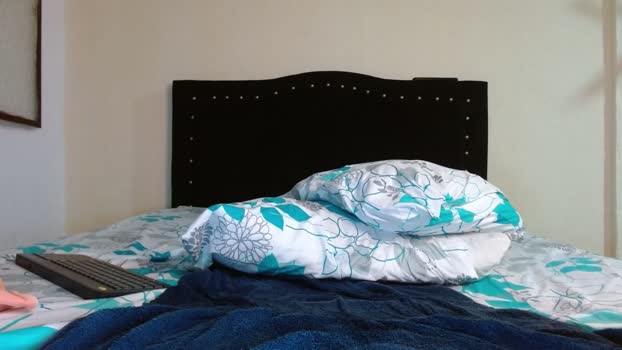 Bear_97x 03-05-2025 Recorded Video wank