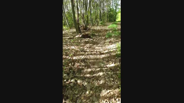 Legtiste 03-05-2025 Recorded Video deepthroat