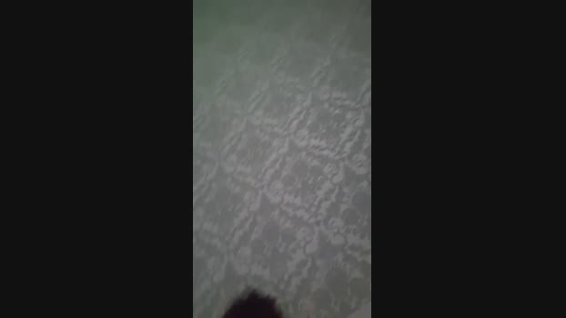 Worriors1989 03-05-2025 Recorded Video jerkoff