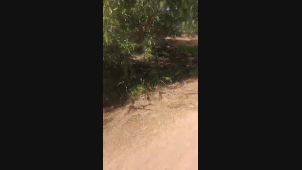 max18018 03-05-2025 Recorded Video bigballs