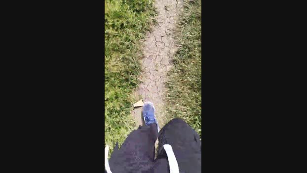 stefan519 03-05-2025 Recorded Video wank
