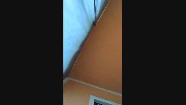 youness22 02-05-2025 Recorded Video ass