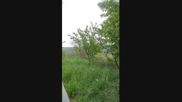 abcd34 04-05-2025 Recorded Video natural