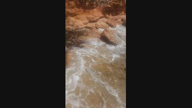 max18018 04-05-2025 Recorded Video analtoy