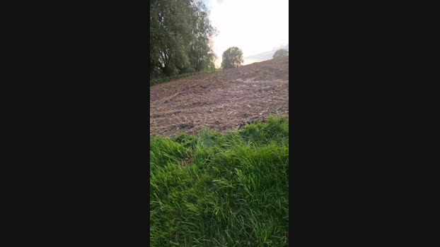 monsterlover 03-05-2025 Recorded Video Recorded