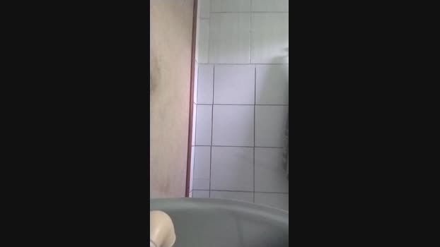 morcego01 03-05-2025 Recorded Video cute