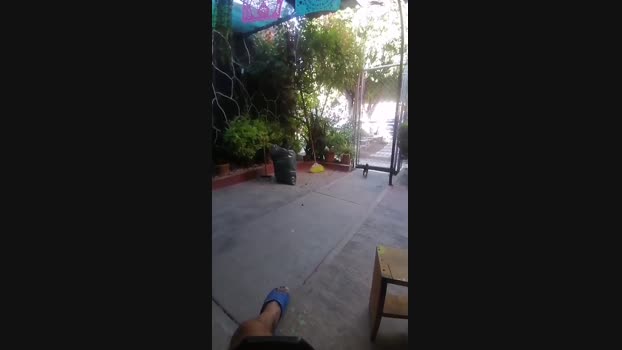 roncoratonm2 04-05-2025 Recorded Video yummy