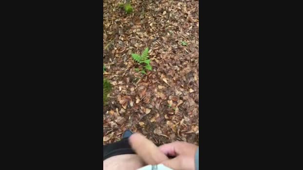 teamviewcum 04-05-2025 Recorded Video natural