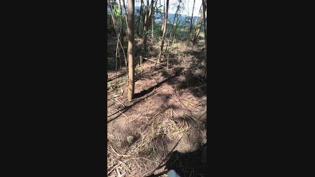 _ALLADYN_ 05-05-2025 Recorded Video suck