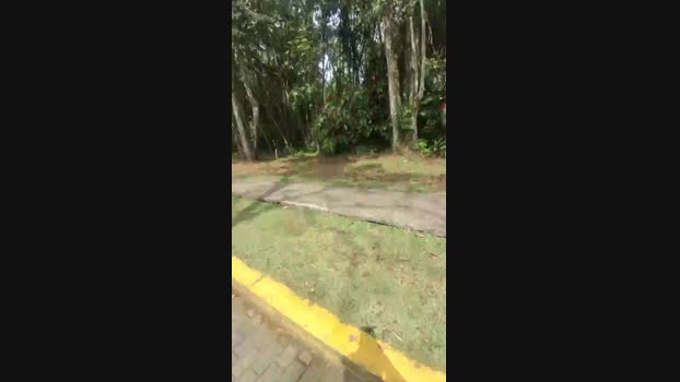 Clark_Jhonz 04-05-2025 Recorded Video suckcock