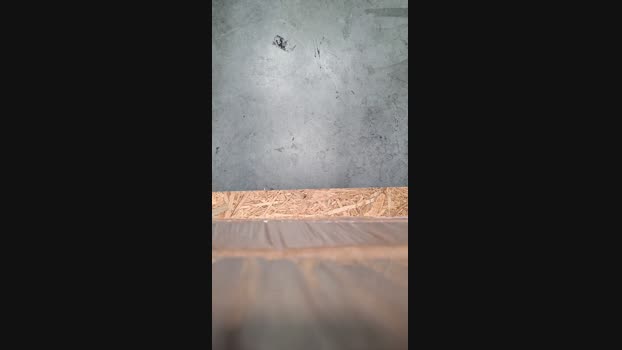 plaisir442 05-05-2025 Recorded Video jerkoff