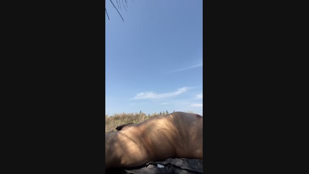 Edgemebear69 06-05-2025 Recorded Video analtoy