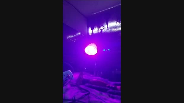 physicssexpert 06-05-2025 Recorded Video suckshow