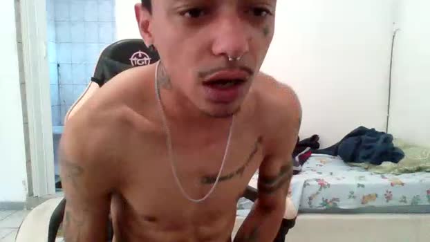 arielnslv