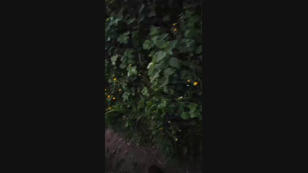 monsterlover 09-05-2025 Recorded Video Topless