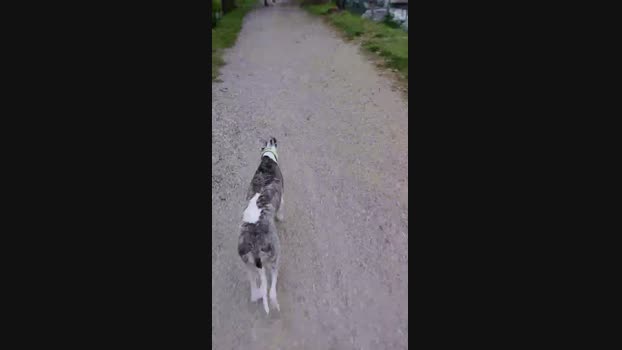 HuGo4K 10-05-2025 Recorded Video skinny