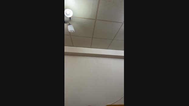 bhy10204991 11-05-2025 Recorded Video Webcam