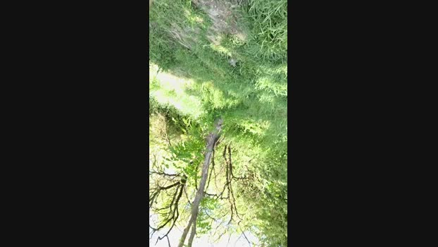pegg_cunilingus 12-05-2025 Recorded Video sexybody