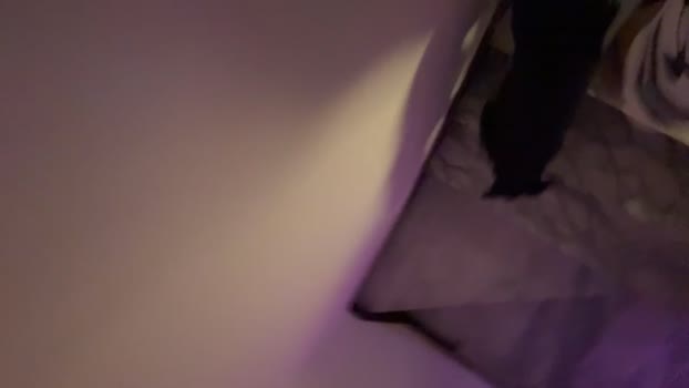 Chih555 13-05-2025 Recorded Video bigcock