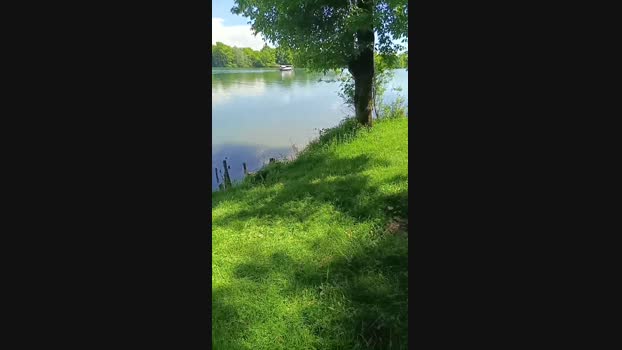 Miridjy 14-05-2025 Recorded Video fingers