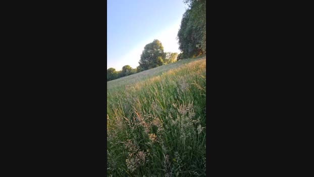monsterlover 13-05-2025 Recorded Video playtime